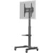Podni nosač za TV Goobay Basic 37"-70"