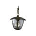 BRAYTRON spoljna viseća lampa 1xE27 IP44 - bronzana, plastika (bez sijalice)