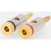 NEDIS CATB26900GD – Banana konektor, pozlaćen