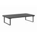 Gembird MS-TABLE-03 - postolje za monitor