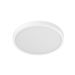 Xiaomi Eco Smart Ceiling Light D30 - pametna plafonska lampa