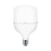 Braytron Advance T100 PLS 30W E27 - LED sijalica visoke snage 6500K hladno bela