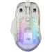 Baracuda ANGLERFISH BGM 062 - gaming miš, prozirno-beli