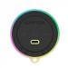 Canyon OnMove 13 - magnetni Bluetooth zvučnik 5W (MagSafe)