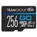 TEAM GROUP GO TGUSDX256GU303 - microSDXC kartica 256GB
