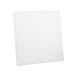 LED panel 48W dnevno svetlo LPN-B6060W-48/W